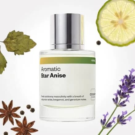 Dossier Aromatic Star Anise – Inspired by Dior's Sauvage, Eau de Toilette